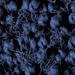 Aqua 9500 Navy Blue Swatch