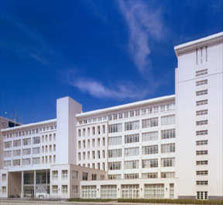 Vescom revestimientos - Centro Administrativo Philipstoren, Leuven, Bélgica