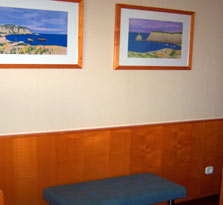 Vescom revestimientos - Hotel NH Amistad, Murcia, Espaa