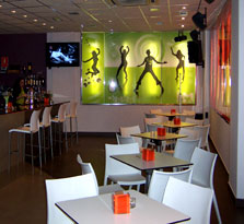 Vescom revestimientos - Revestimientos en Pubs y discotecas